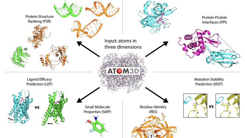 ATOM3D: Tasks On Molecules in Three Dimensions