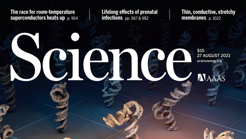 Geometric Deep Learning of RNA Structure